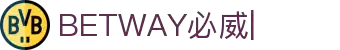 betway_必威体育-必威体育官方网-BETWAY-SPORTS